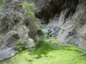 Wasserflche im Barranco del Infierno