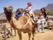 Camel Park auf Teneriffa
