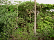 Teneriffa Amazonia Exotic Park
