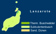 Lanzarote Flora