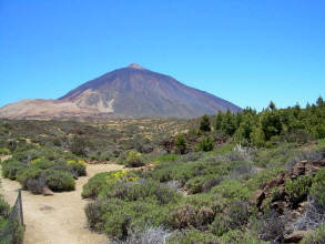 Landschaft Teide Teneriffa
