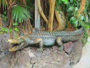 Krokodil Kunstwerk im Loro Parque